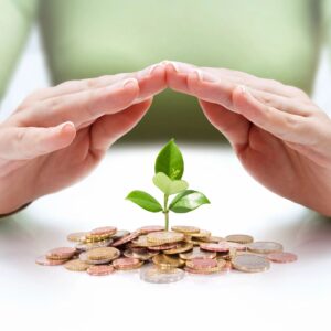 A person holding their hands over a plant