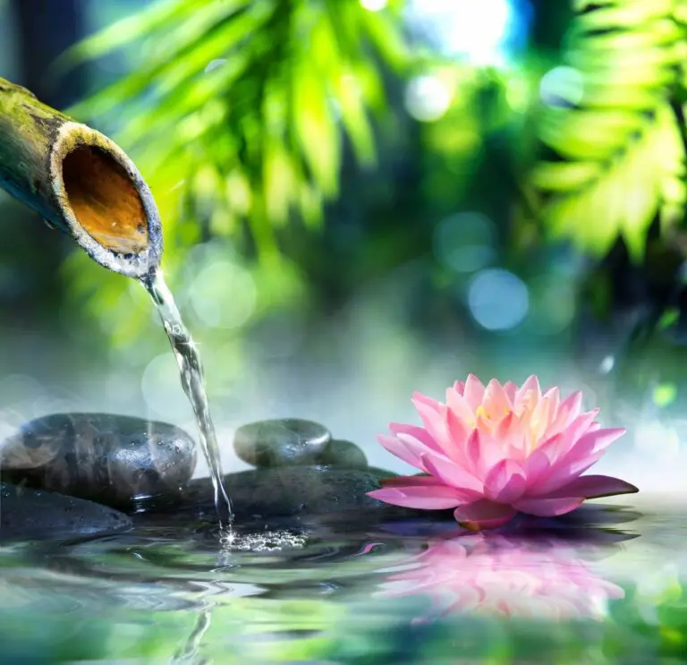 A pink flower and water in the middle of a pond.