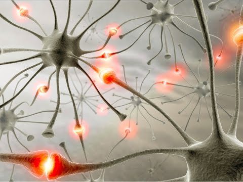 A close up of neurons with red lights