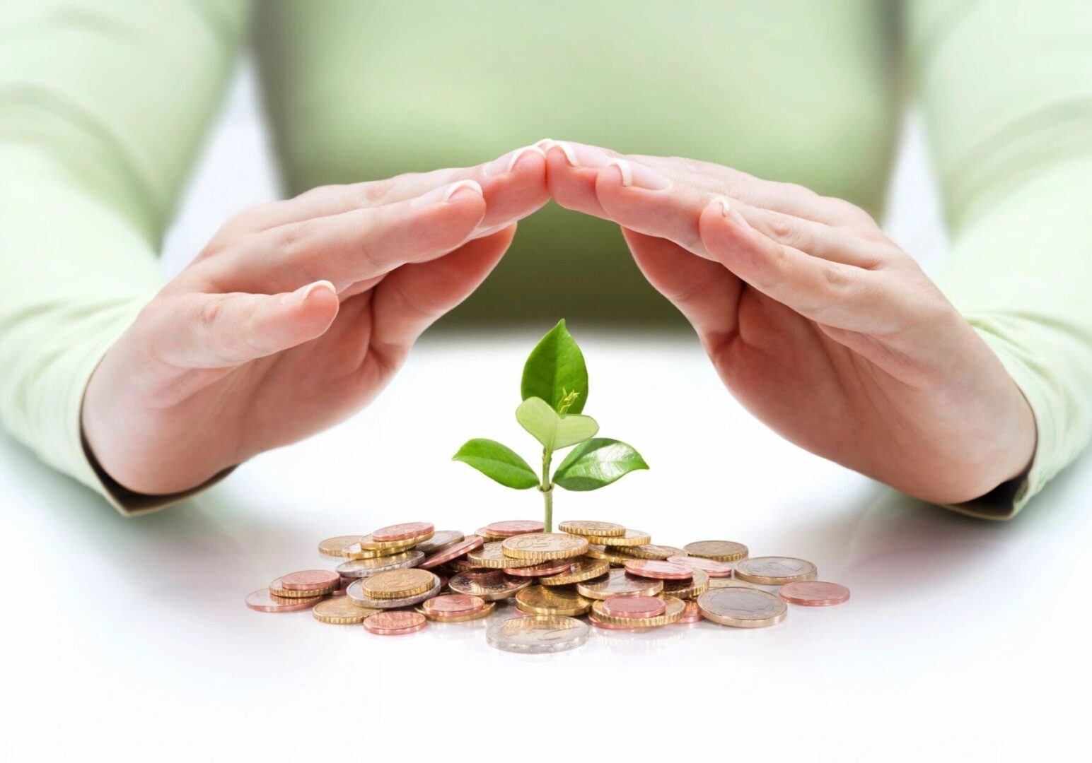 A person holding their hands over a plant