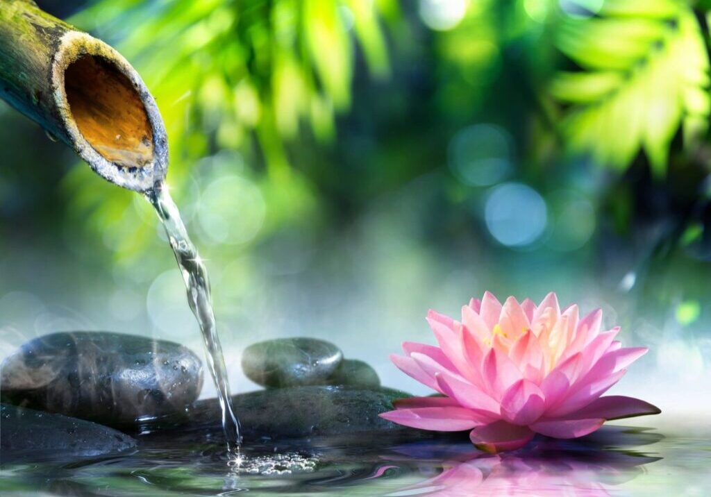 A pink flower and water in the middle of a pond.